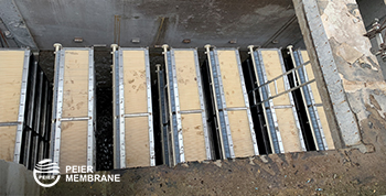 2025073063469442.jpg 10.jpg