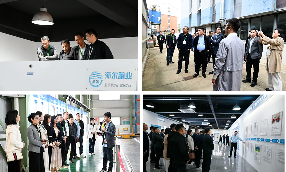 2025111312548886.jpg 4.jpg